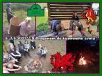 23p0066.jpg